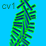 Cursorrama