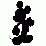 A Pokemon Flash