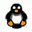 Peckish Penguin
