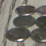Fun With Pennies