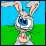The Story of a Rabbit