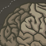 In to your brain