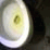 The Piss Collab