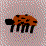 Jitterbug