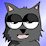 Night of Mooncat