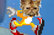 KITTY SPEED BOY