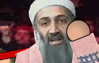 Snookie VS bin Laden