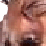 Bob Dole likes your style