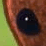 The Domo-Kun Collab