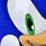 The Life of Sonic