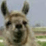 &iquest;c&oacute;mo te llamas? 2