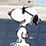 Snoopy's Problem