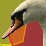 -SwanSong-