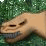 Preiveiw:Dinosaur Past