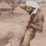 Taliban Blues