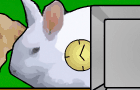 &amp;gt;(&amp;deg; ) Quack