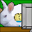 >(&deg; ) Quack