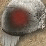 -L()L-