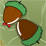 Acorn