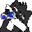 redbull cat