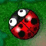 Hungry Bugs