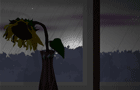 rainy morning