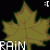 -Rain-