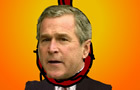 Hang Bush