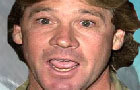 steve irwin tribute