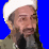 A Flower for Osama