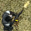 Last Survivor 1.0