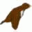 Bird on farm