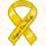 Tribute to Cdn. Soldiers