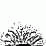 Random FBFs: Black Hole