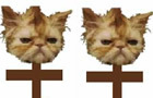 kitty krew must die by Organclock