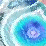 SS Seizure Collection #4