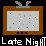 Late Night T.V.