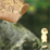 Little Man, Big Adventure
