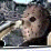 Jason's New Ride