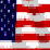 American PRIDE!Fuck Bin!!