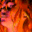 Ballad of a fallen angel