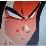 dragonball ticrogora saga