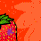 MS-Strawberry Moon's here