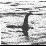 -=Lochness Monster=-