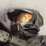 halo snake 3