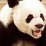 Draggahpandah