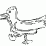 duck.fla tribute