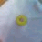 The Yellow Donut