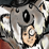 Awesome Animal Suit Squad