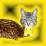 [KK]The Catduckalypse !